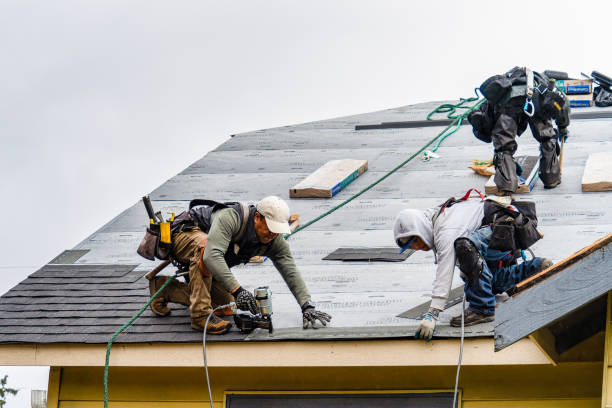 Professional Storm Damage Roof Repair technician working in Delong, IN